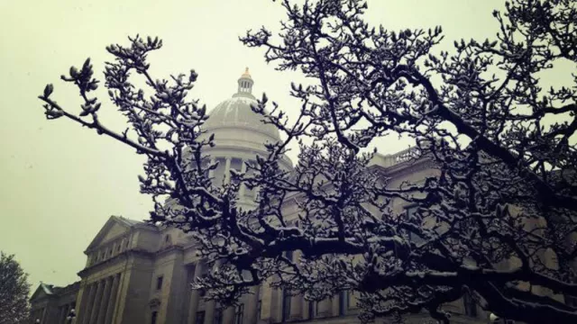 picture of the statehouse with a tree in front